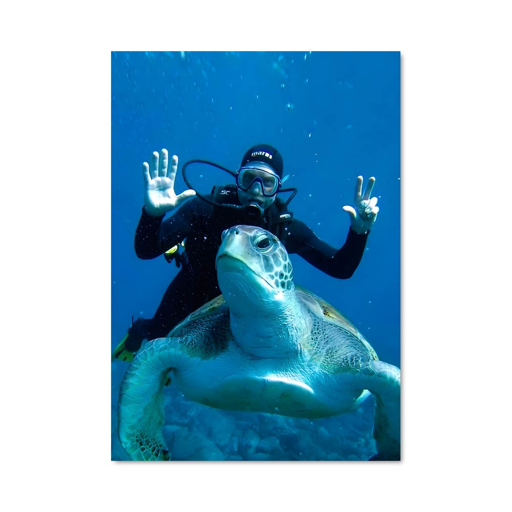 Poster Plongée avec les Tortues – affiche Plongée sous-marine